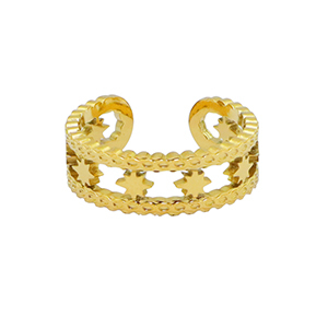 Ringen van Stainless steel Roestvrij staal (RVS) star Goud
