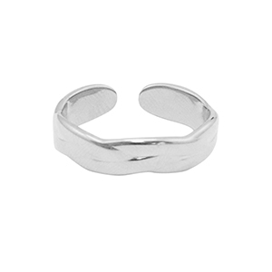 Ringen van Stainless steel Roestvrij staal (RVS) Zilver