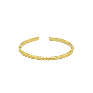 Ringen van Stainless steel Roestvrij staal (RVS) Goud