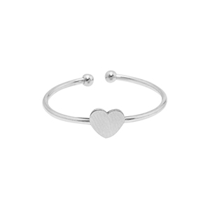 Ringen van Stainless steel Roestvrij staal (RVS) heart Zilver