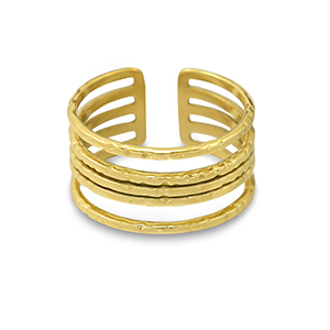 Ringen van Stainless steel Roestvrij staal (RVS) Gold