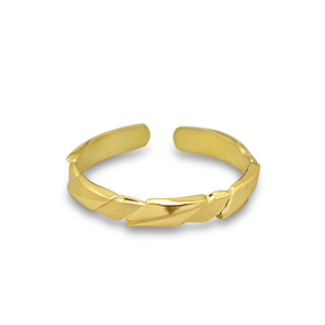 Ringen van Stainless steel Roestvrij staal (RVS) Gold
