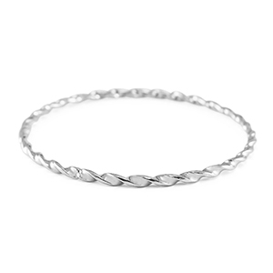 Armbanden van Stainless Steel Roestvrij staal (RVS) twisted Silver