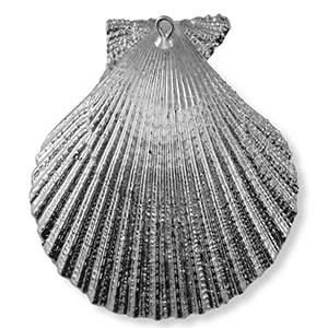 Schelp hanger special Scallop Silver