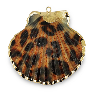 Schelp hanger special Scallop leopard Copper brown-gold