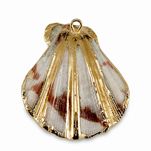 Schelp hanger special Scallop Ivory-gold