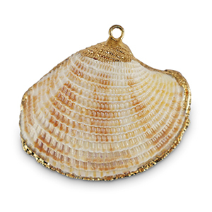 Schelp hanger special Scallop Off white-gold