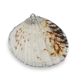 Schelp hanger special Scallop Ivory copper brown-silver
