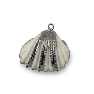 Schelp hanger special Scallop White-silver