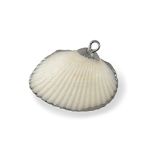 Schelp hanger special Scallop White-silver