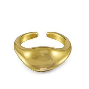 Ringen van Stainless steel Roestvrij staal (RVS) drop Gold