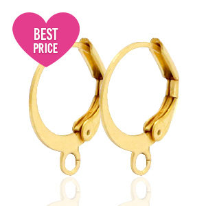 Benodigdheden van Stainless steel Roestvrij staal (RVS) sluitbare oorhanger met oog Goud