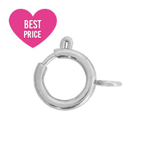 Benodigdheden van Stainless steel Roestvrij staal (RVS) slotje 7x9mm Zilver