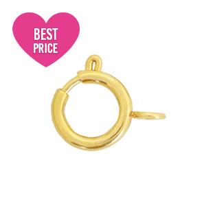 Benodigdheden van Stainless steel Roestvrij staal (RVS) slotje 6x8mm Goud