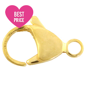 Benodigdheden van Stainless steel Roestvrij staal (RVS) karabijnslot 15mm Goud