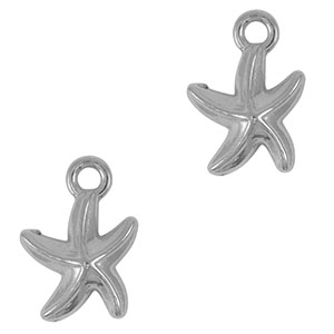 Bedels van Stainless steel Roestvrij staal (RVS) starfish Silver