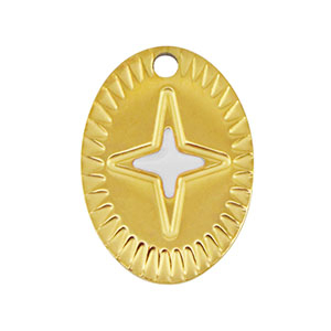 Bedels van Stainless steel Roestvrij staal (RVS) oval star Gold-white