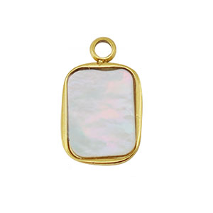 Bedel van Stainless steel Roestvrij staal (RVS) shell rectangle Gold-white (natuurlijke kleur)