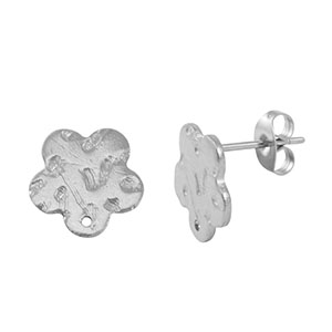 Oorbellen van Stainless steel Roestvrij staal (RVS) oorstekers Silver