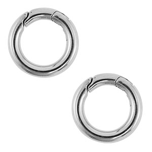Benodigdheden van Stainless steel Roestvrij staal (RVS) clasp round Silver