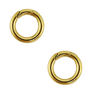 Benodigdheden van Stainless steel Roestvrij staal (RVS) clasp round Gold