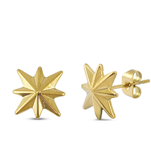Oorbellen / oorstekers van Stainless steel Roestvrij staal (RVS) star Gold
