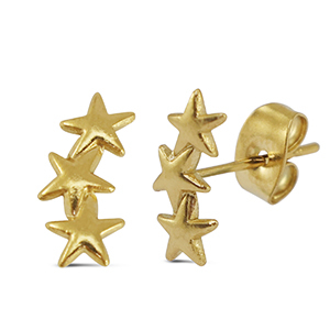 Oorbellen / oorstekers van Stainless steel Roestvrij staal (RVS) star Gold