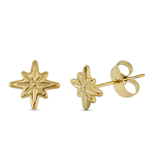 Oorbellen / oorstekers van Stainless steel Roestvrij staal (RVS) star Gold