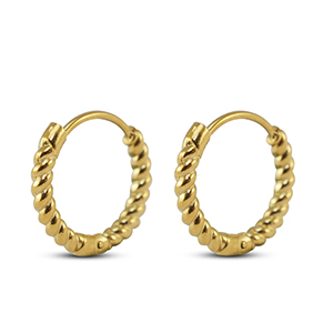 Oorbellen van Stainless steel Roestvrij staal (RVS) creolen Gold