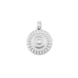 Bedels van Stainless steel Roestvrij staal (RVS) sun Silver