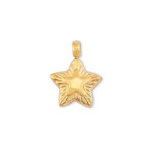 Bedels van Stainless steel Roestvrij staal (RVS) star Gold