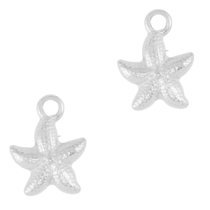 Bedels van Stainless steel Roestvrij staal (RVS) starfish Silver