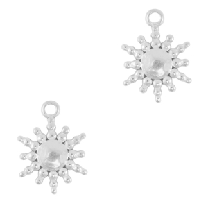 Bedels van Stainless steel Roestvrij staal (RVS) sun Silver