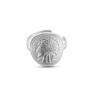 Ringen van Stainless steel Roestvrij staal (RVS) coin Silver