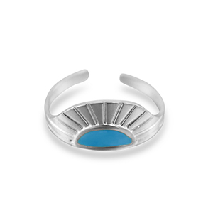 Ringen van Stainless steel Roestvrij staal (RVS) fan Silver-blue
