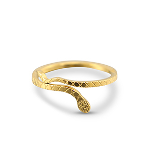 Ringen van Stainless steel Roestvrij staal (RVS) snake Gold