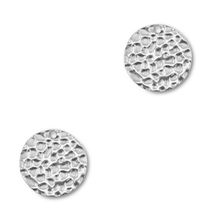 Bedels van Stainless steel Roestvrijstaal (RVS) round Silver