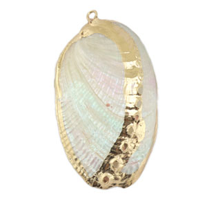 Schelp hanger special Mussel Pearl-gold