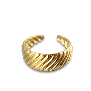 Ringen van Stainless steel Roestvrij staal (RVS) Gold