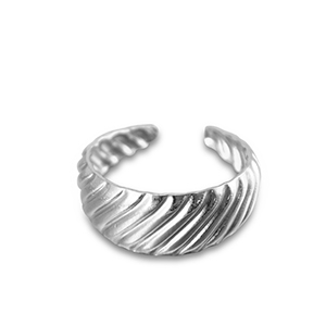 Ringen van Stainless steel Roestvrij staal (RVS) Silver