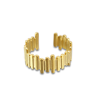 Ringen van Stainless steel Roestvrij staal (RVS) Gold