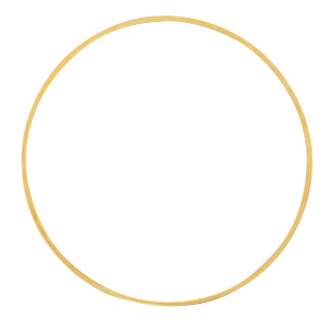 Metaal onderdelen DQ dichte ring 40mm Goud (nikkelvrij)