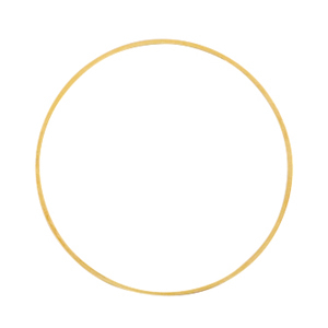 Metaal onderdelen DQ dichte ring 30mm Goud (nikkelvrij)