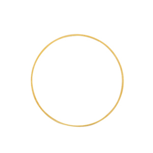 Metaal onderdelen DQ dichte ring 20mm Goud (nikkelvrij)