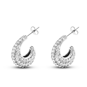 Oorbellen / oorstekers van Stainless steel Roestvrij staal (RVS) Silver