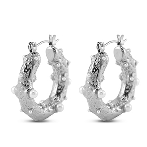 Oorbellen / oorstekers van Stainless steel Roestvrij staal (RVS) Silver