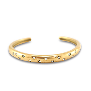 Armbanden van Stainless steel Roestvrij staal (RVS) bangle Gold