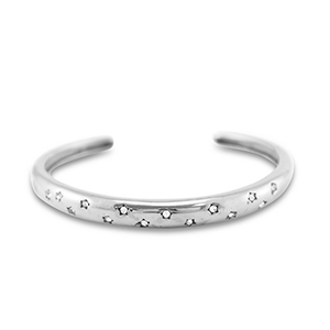 Armbanden van Stainless steel Roestvrij staal (RVS) bangle Silver