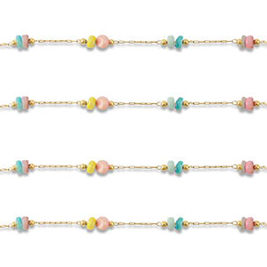 Benodigdheden van Stainless steel Roestvrij staal (RVS) jasseron disc Gold-multicolour