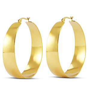 Oorbellen van Stainless steel Roestvrij staal (RVS) creolen Gold